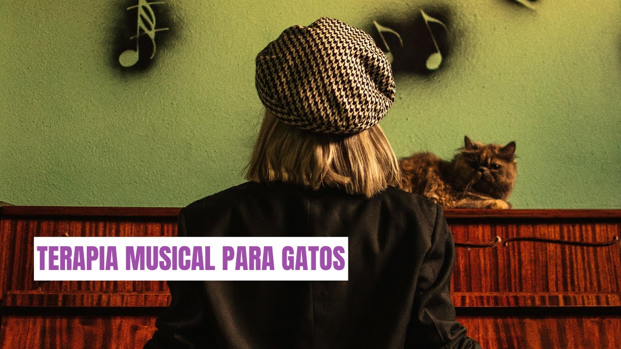 Noite pacífica de descanso e relaxamento com músicas para gatos | Terapia musical para gatos