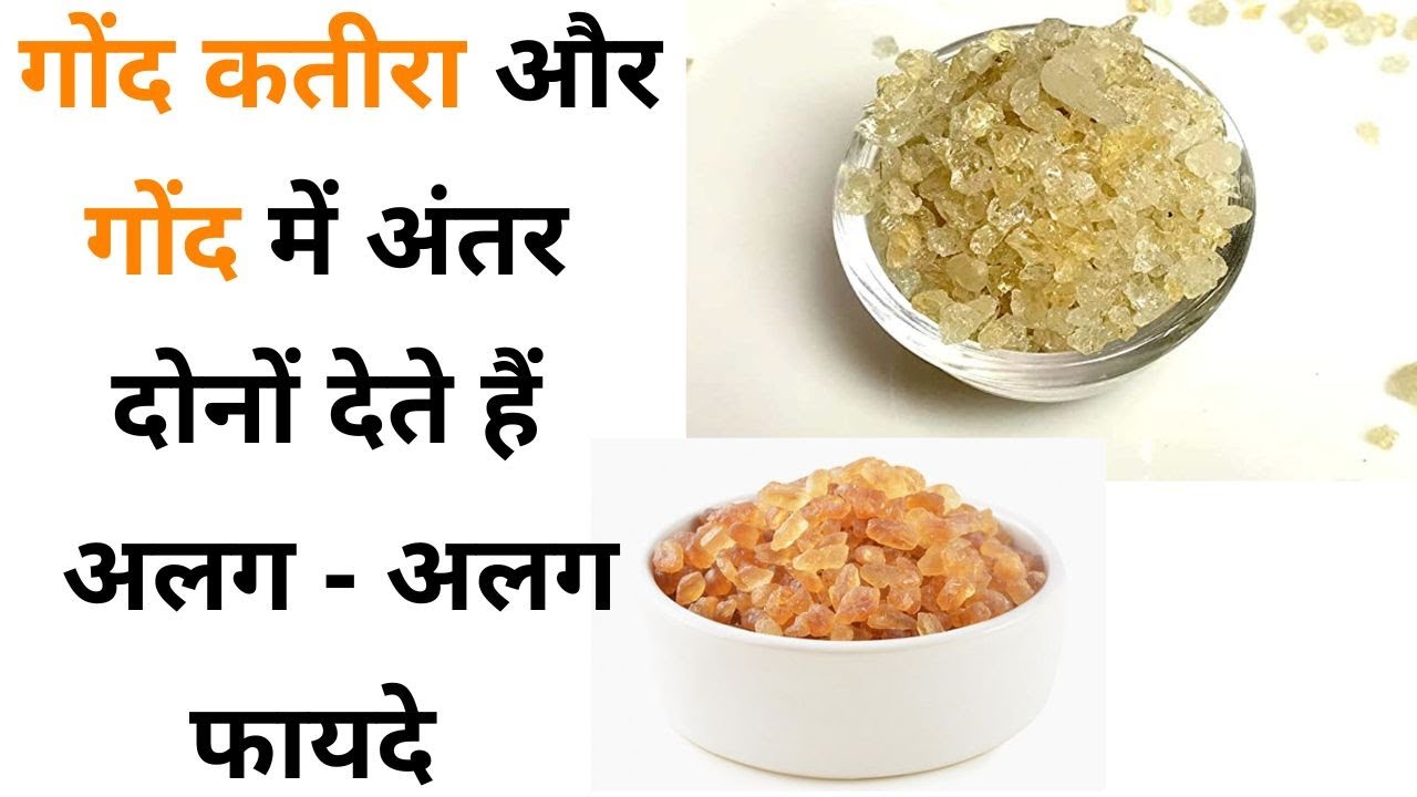 गोंद कतीरा और गोंद में अंतर, कब क्या खाना हैं फायदेमंद | Gond Katira, Gond Difference and Benefits