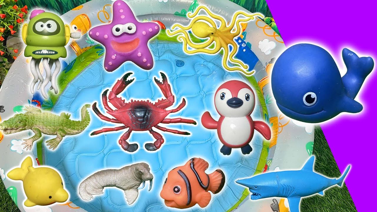 Ocean Animal Names for Kids! | Duck, Octopus, Clownfish, Starfish & More!