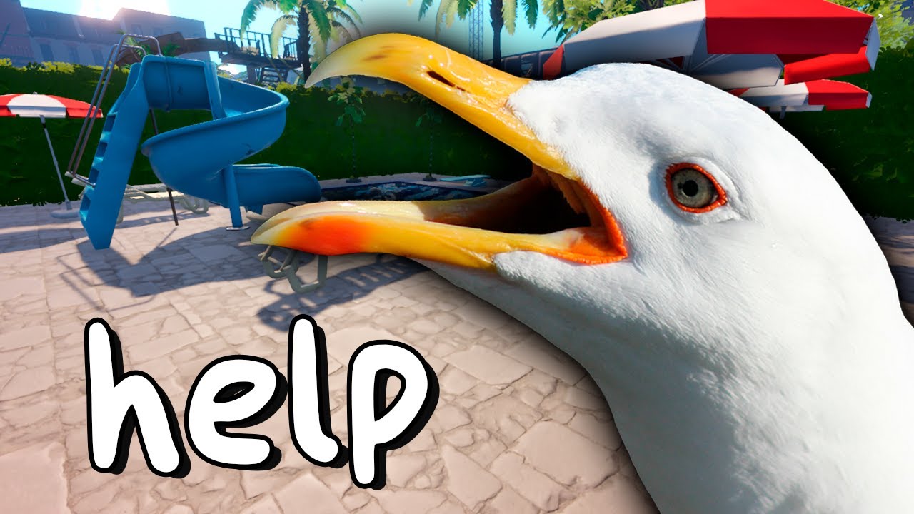 gaivotas ATACARAM o meu parque