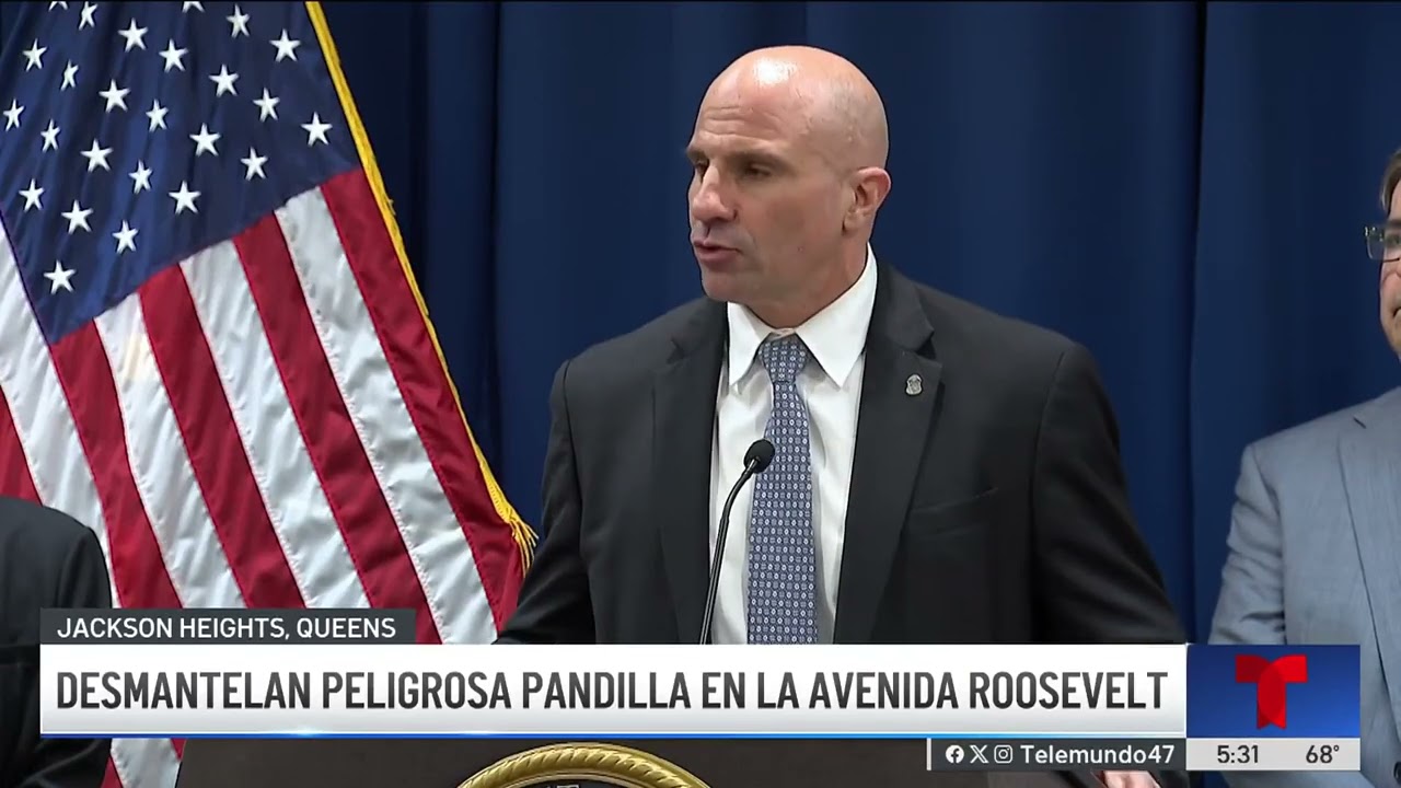 Desmantelan peligrosa pandilla en la avenida Roosevelt