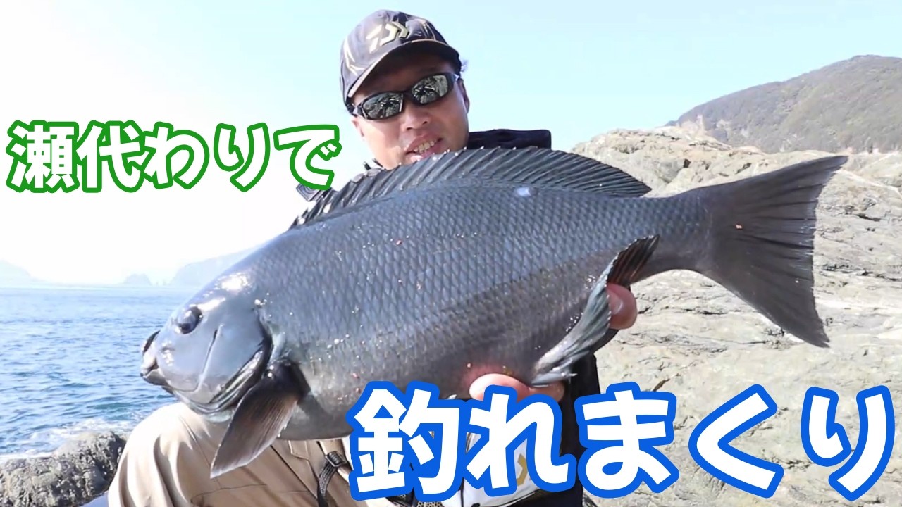 磯を変わってからグレのアタリ連発です！！　　米水津カツアジロ