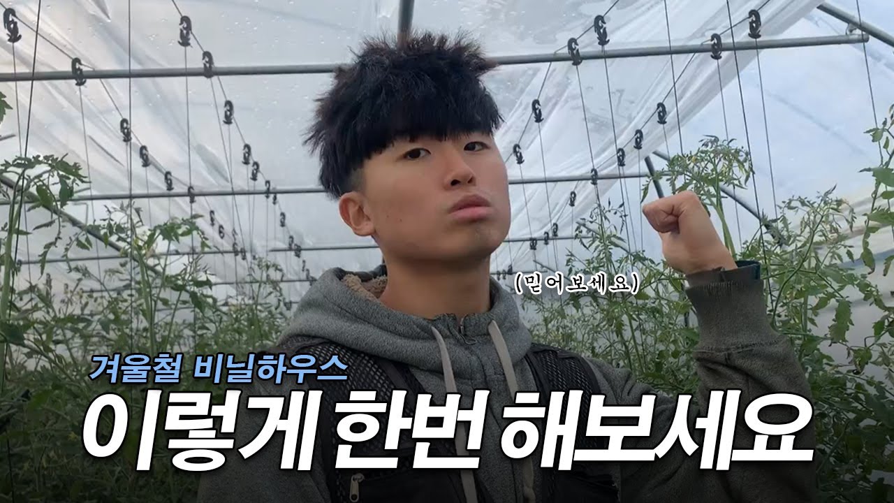 겨울철 비닐하우스 보온 효율 높이는 방법
