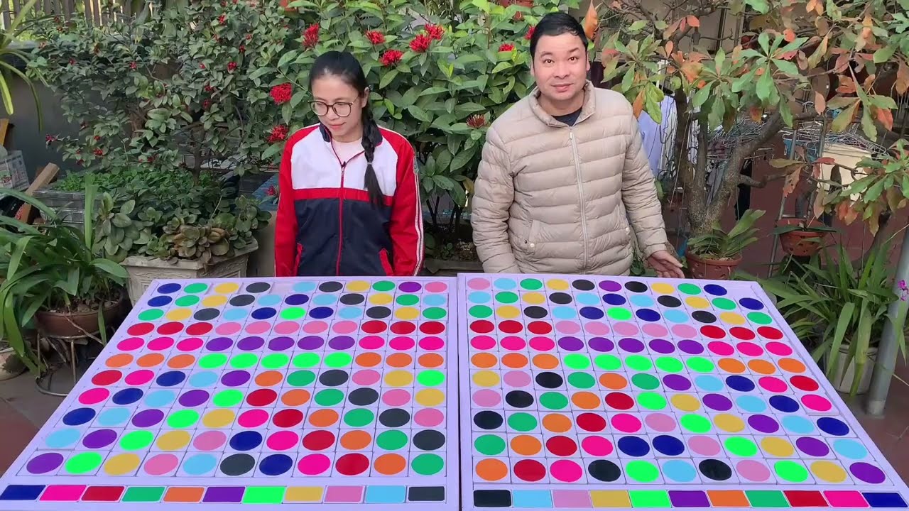 Sort ball puzzle very intelligent game to play
