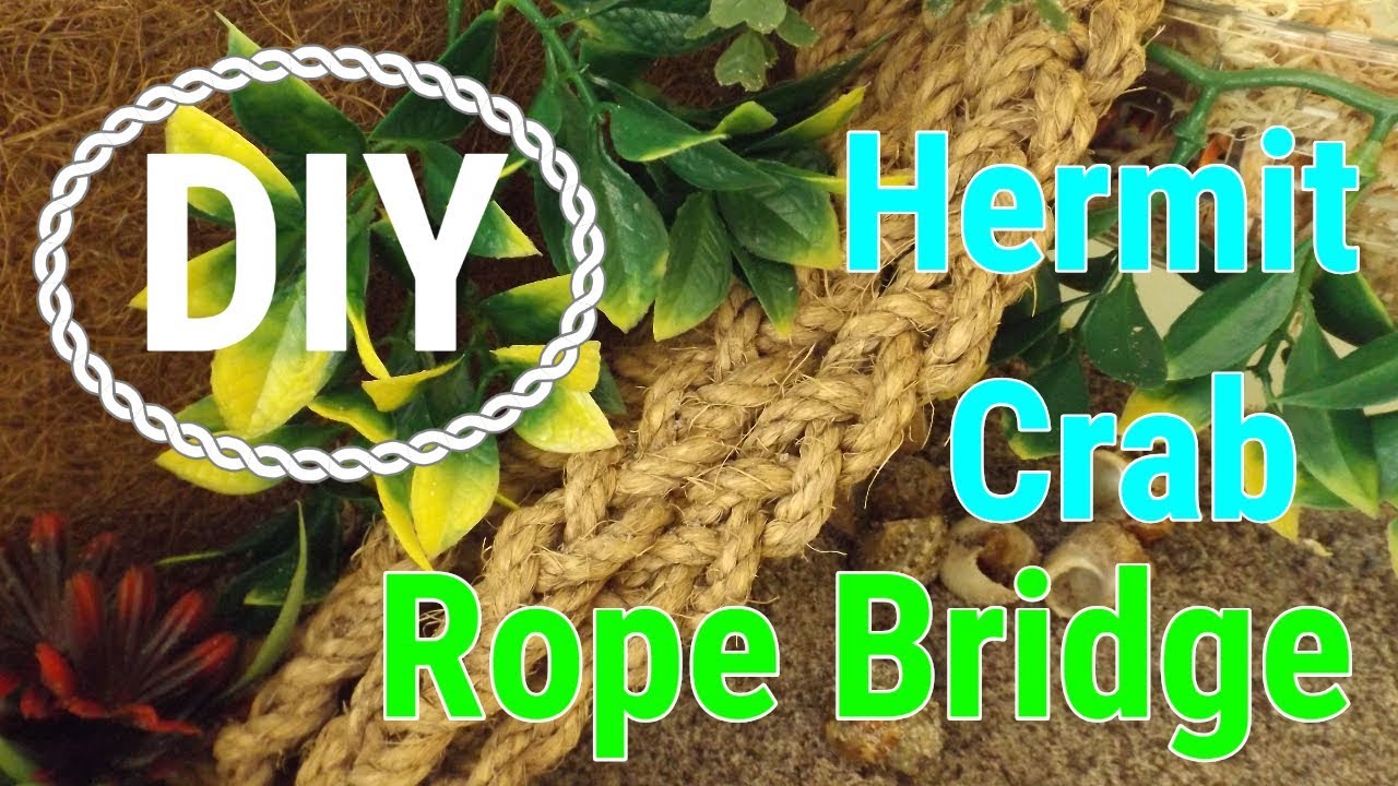 DIY Hermit Crab Rope Bridge