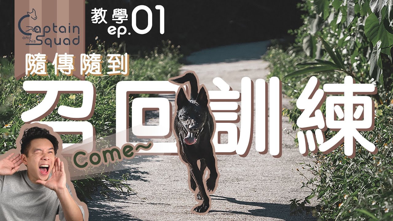 【 教學 ep.01 : 狗狗百分百召回訓練 🐕💨 】bb 狗點叫都唔返來? ｜無視主人嘅呼喊?｜無辦法喚回?｜養狗技能解鎖秘訣《Captain 狗隻訓練》(cc中英字幕)