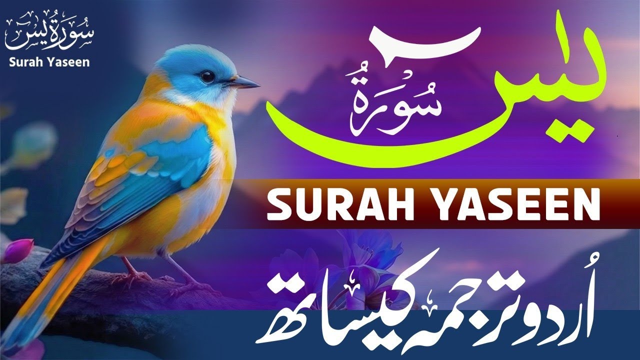 Surah Yaseen Full Beautiful Quran Recitation With Urdu & Hindi Translation | Qari Mansoor Ghaznawi