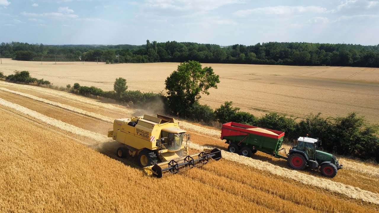 Moisson de l'orge : New Holland TX68 plus 🌾