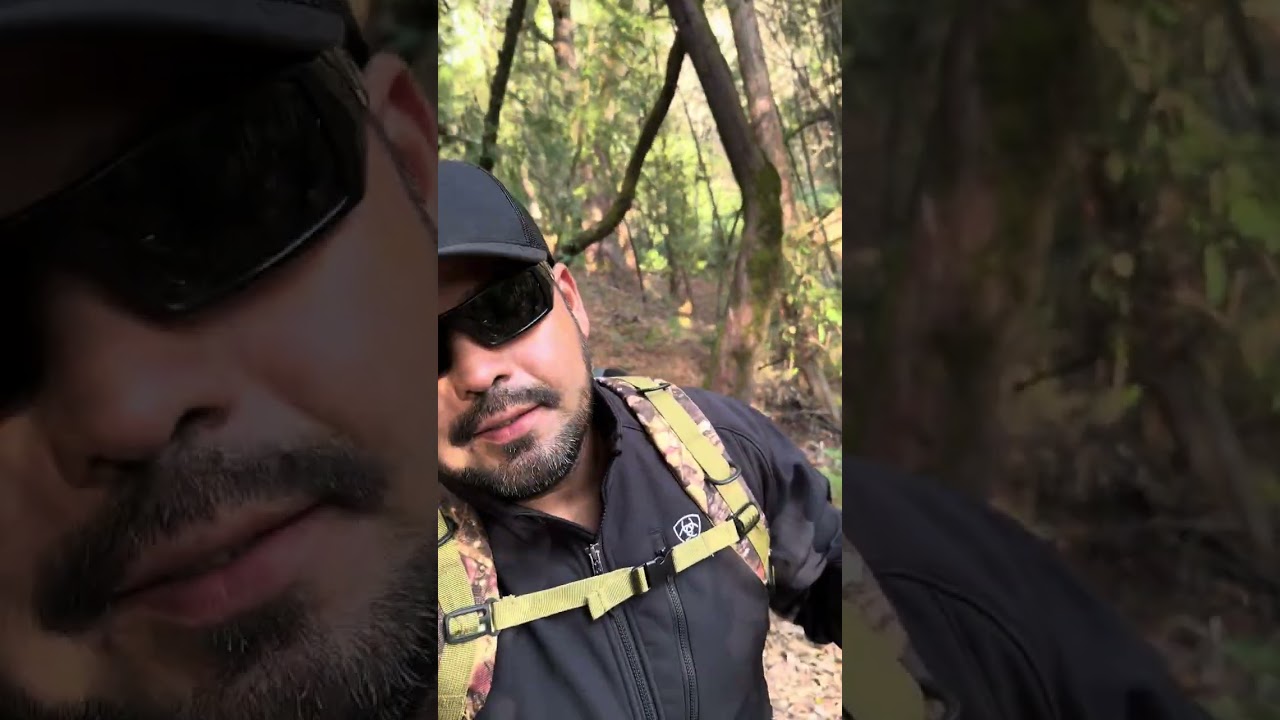 explorando la naturaleza