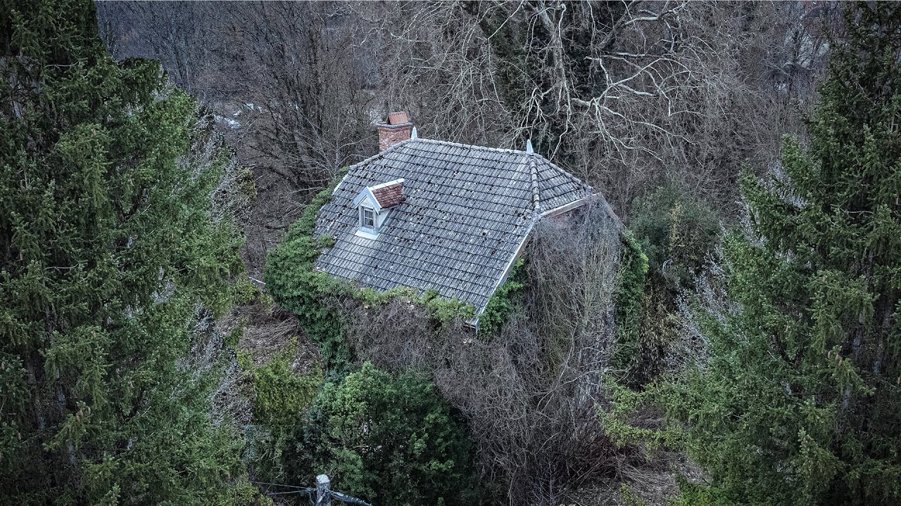 CASA DIMENTICATA DA TUTTI AVVOLTA DALLA NATURA, DENTRO FACCIAMO UNA SCOPERTA INCREDIBILE