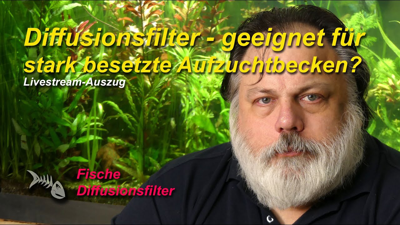 Diffusionsfilter - ist er auch geeignet f&uuml;r stark besetzte Aufzuchtbecken?
