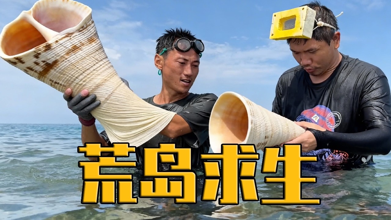 花300万挑战印尼海豚岛：自制潜水镜深潜捡舞袖涡螺，用新鲜椰汁炖煮超美味，Q弹有嚼劲平时吃不到【户外平头哥】