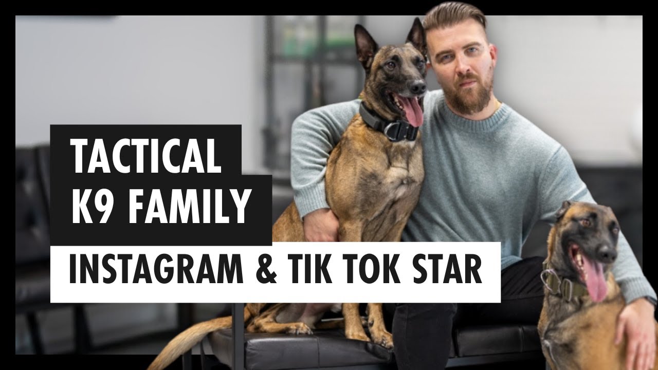 Tactical K9 Family: Einblicke In Das Leben Mit Arbeitshunden – Teil 1
