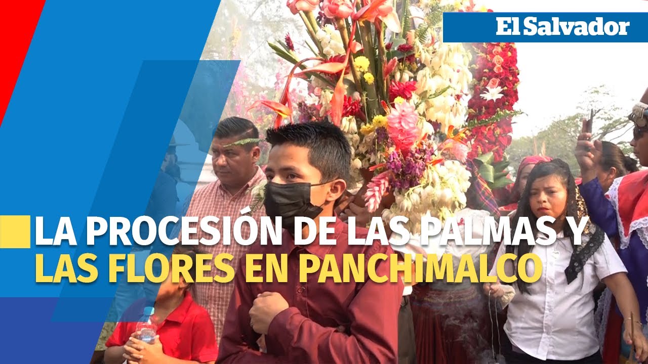 Una colorida tradici&oacute;n visti&oacute; de palmas y flores las calles de Panchimalco