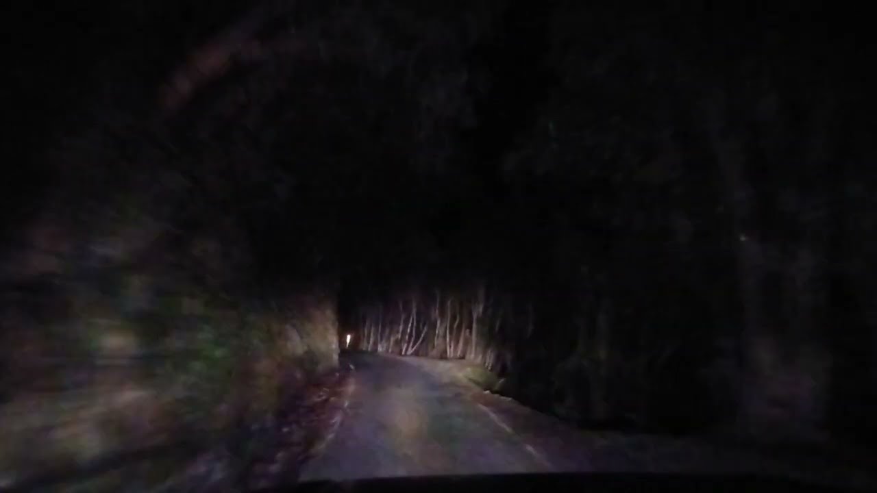 New Zealand Night Forest Drive 80 return - Akatarawa Road Rambles