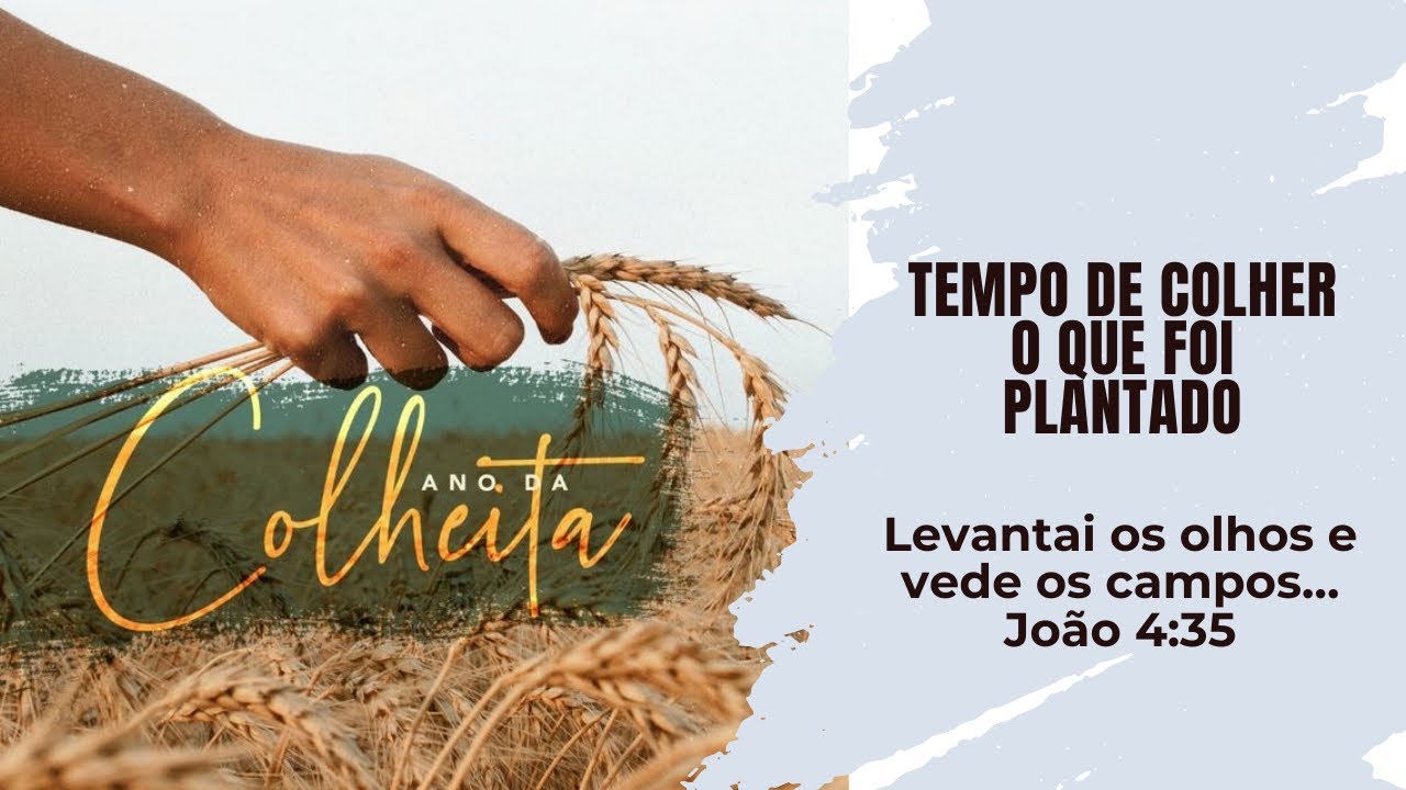 Retrospectiva 2025 Vida & Paz Church 