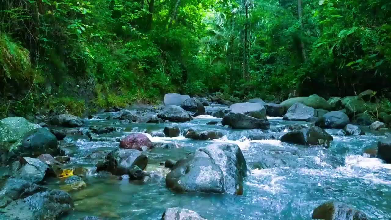 Calming Sound of Mountain River - Nature Sounds, Flowing Water, White Noise for Sleeping