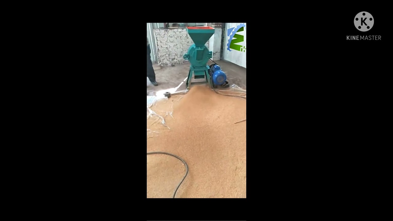 pulverizer atta chakki machine working running video