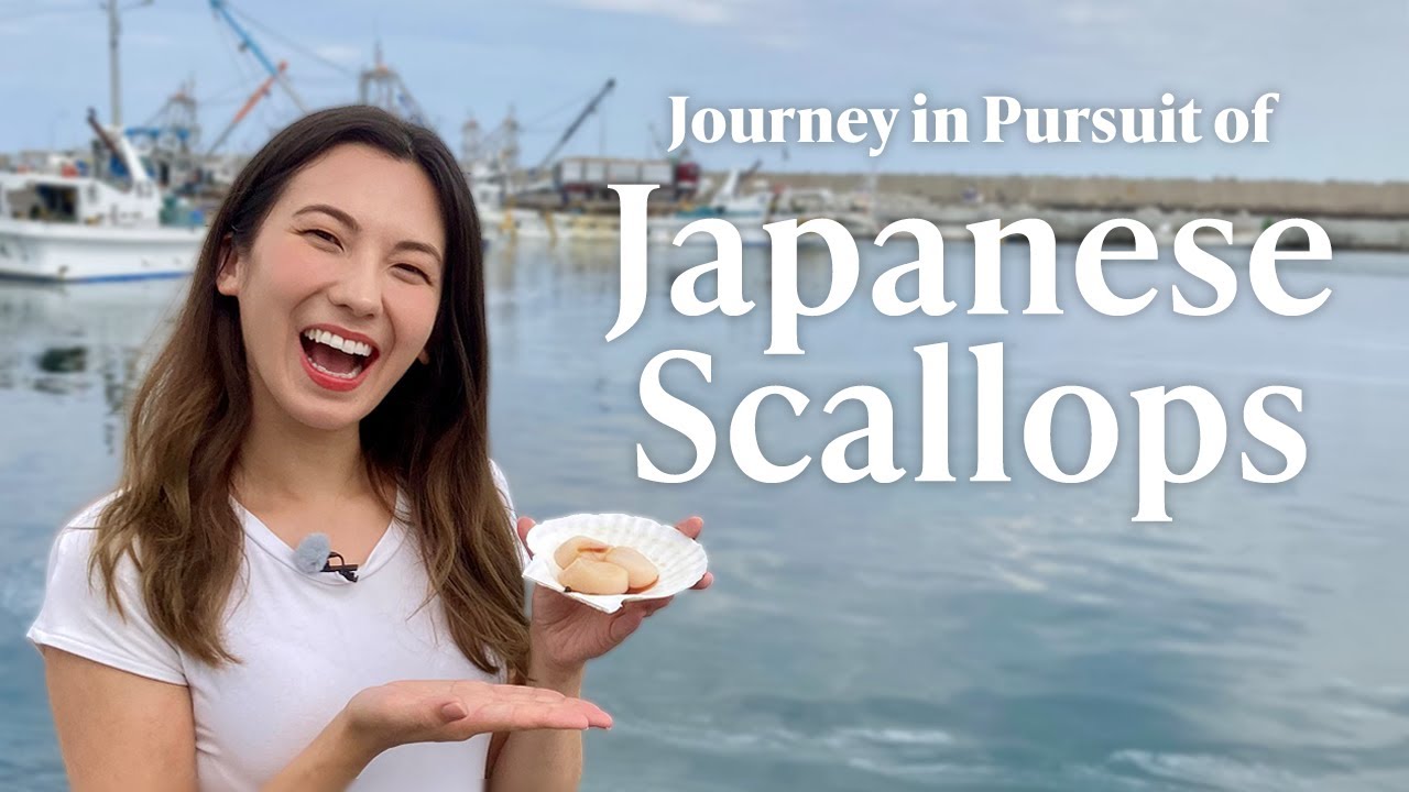 Journey in Pursuit of Japanese Scallops