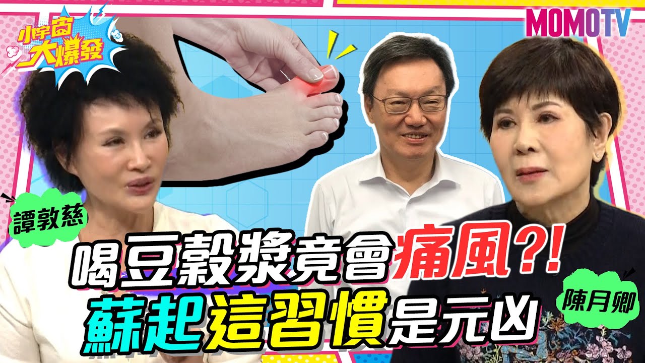 蘇起天天喝豆穀漿竟痛風?! 陳月卿抓出這習慣才是元凶 20230428 譚敦慈 陳月卿【小宇宙大爆發】完整版 @SnowNonStop