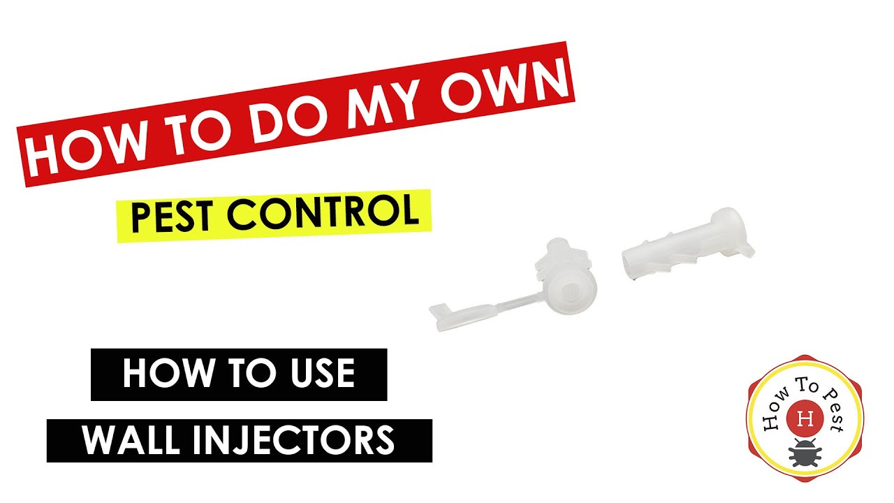 How to Use Pesticide Wall Injectors | DIY Pest Control Tutorial (How To Pest)
