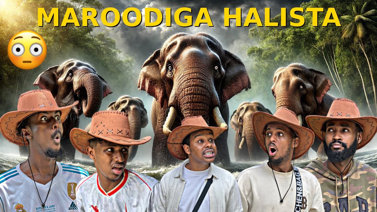 Maroodigii Ugu Naxdinta Badnaa ayan Booqanay Daawo Wixii Dhacay!