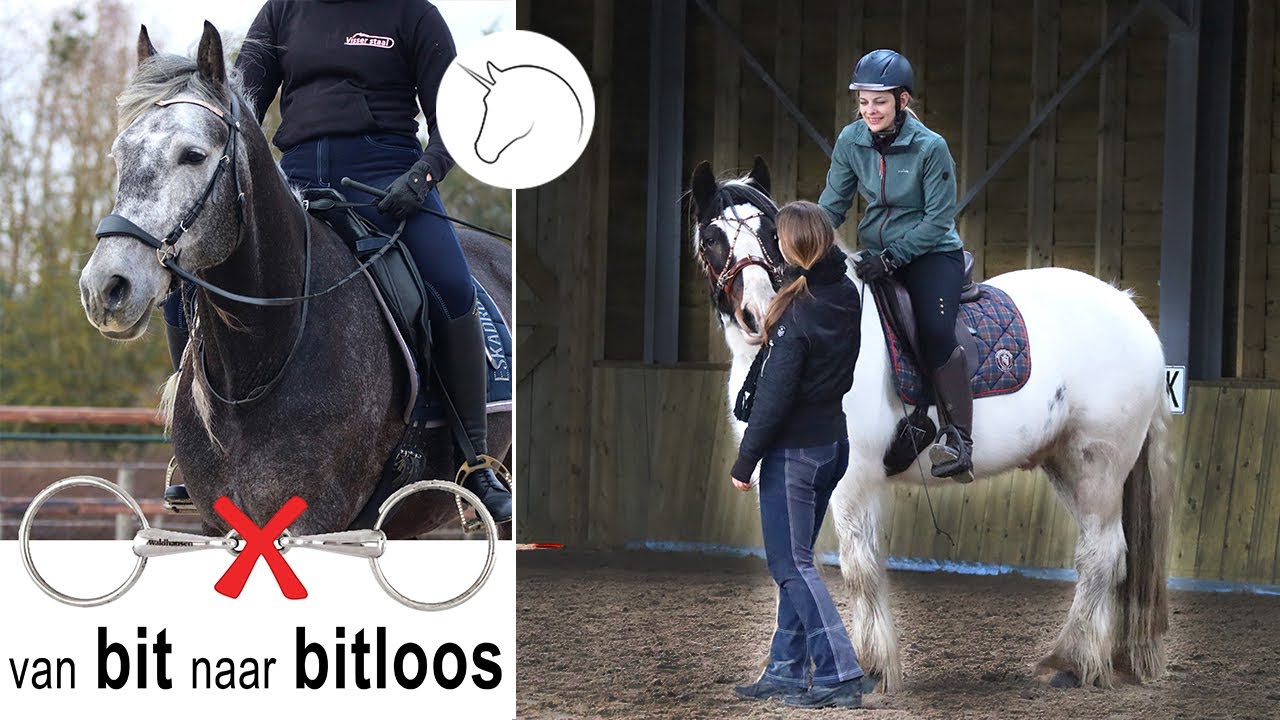 Van Bit Naar Bitloos alf 3