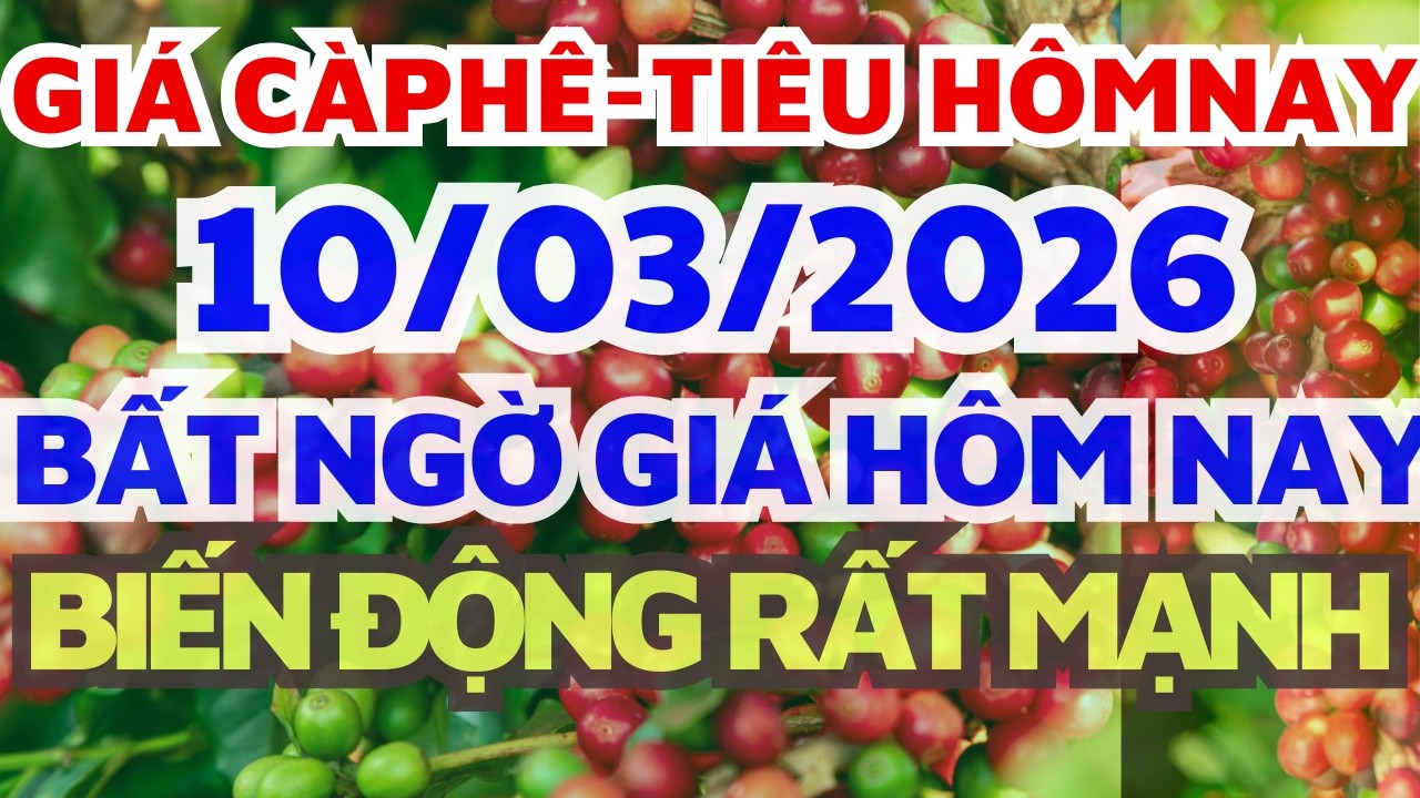 Giá cà phê hôm nay ngày 10/3/2026 BIẾN ĐỘNG MẠNH/Giá hồ tiêu hôm nay