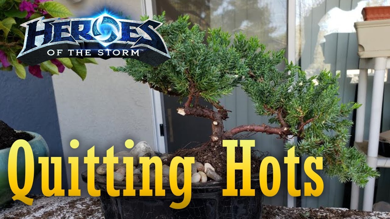 (April fools 2019) NotParadox is Quitting HotS to make Bonsai Trees.
