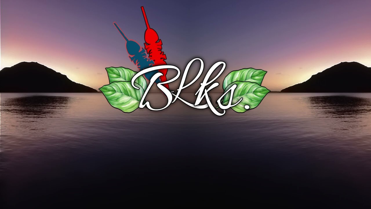 BLKS {Kidaki - J'ai Grandi} Remix_reggae 💯🎉✌🏾🔥