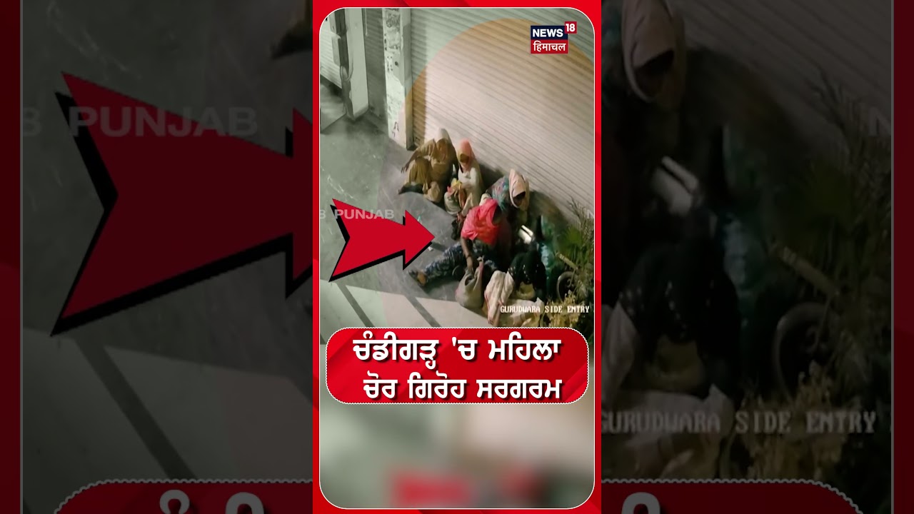Loot News | Chandigarh 'ਚ ਮਹਿਲਾ ਚੋਰ ਗਿਰੋਹ ਸਰਗਰਮ #Shorts | N18S