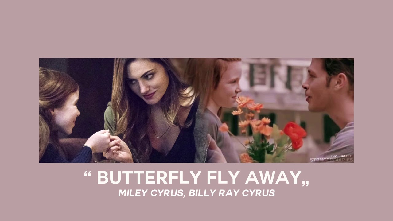 ( slowed down ) butterfly fly away