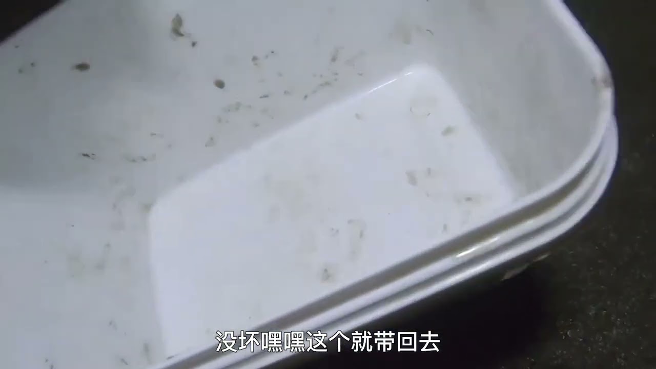 泰叔晚上去找找海货，石缝外有泥巴推出来的，里面可能是有大货哦 #户外抓螃蟹 #赶海记 #螺 #海鲜 #海边生活