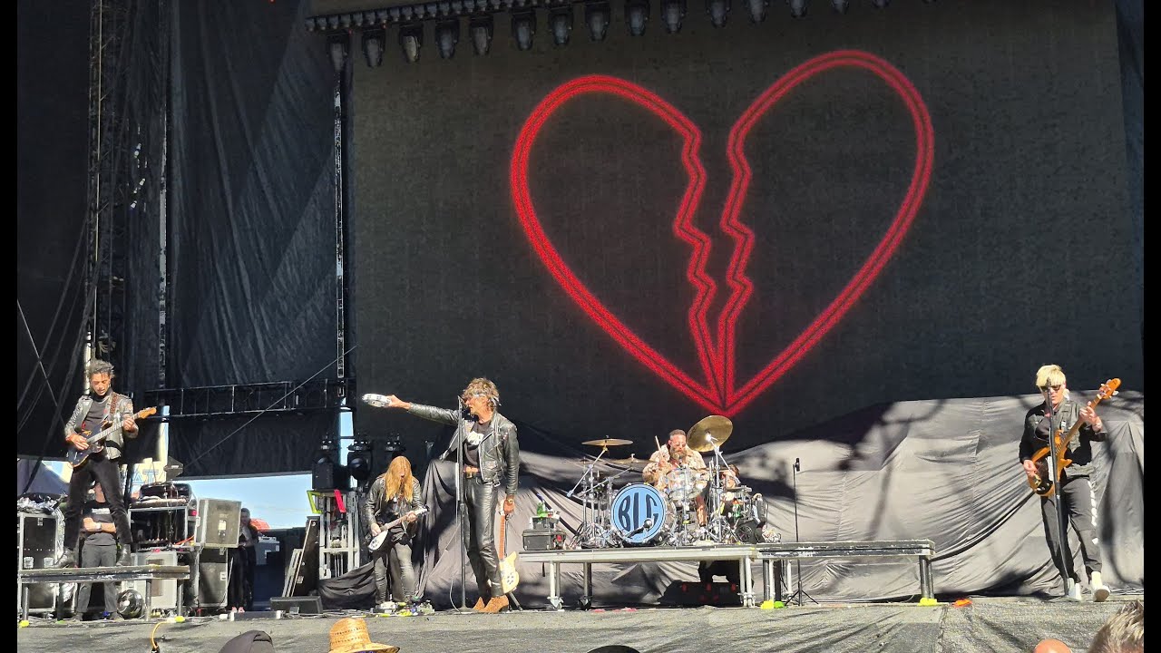 ALL THE HITS!!! Boys Like Girls LIVE at When We Were Young 2025 (close to stage)