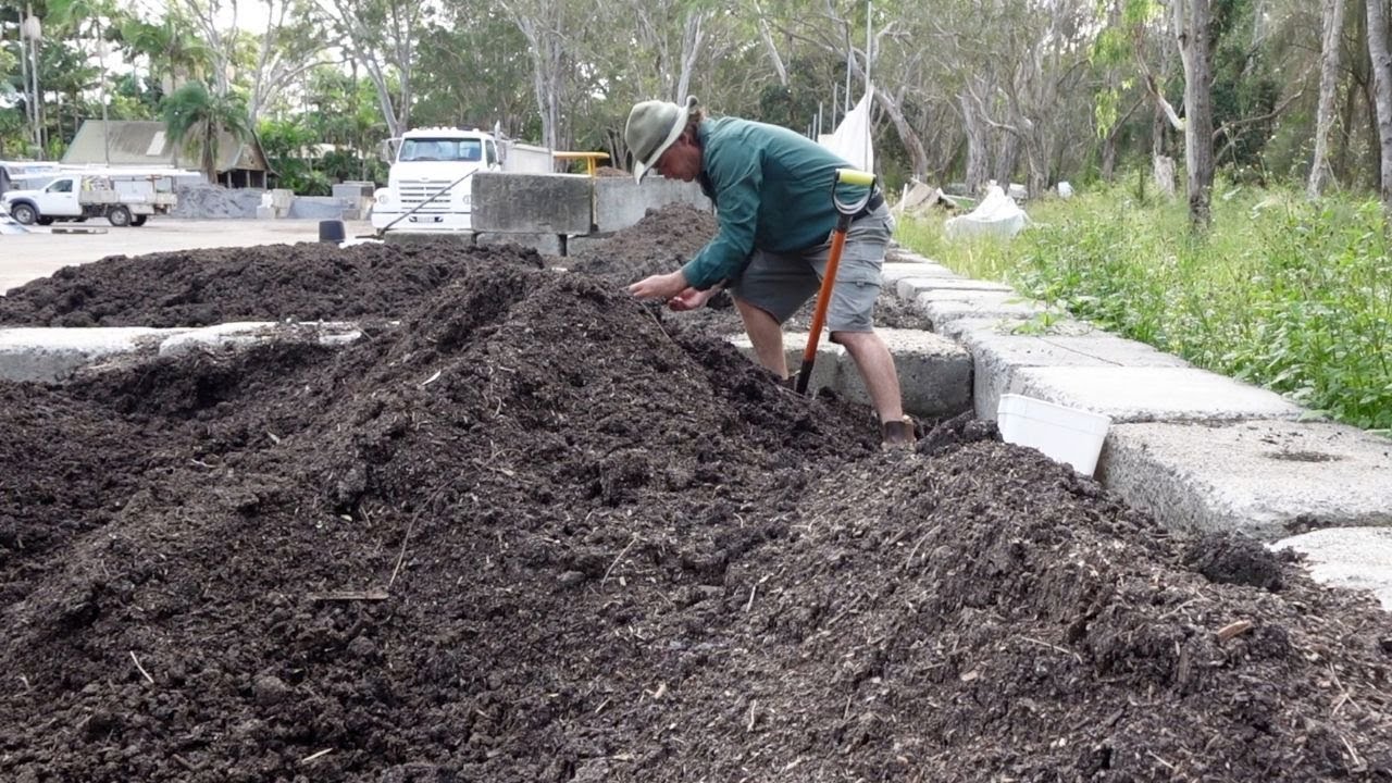 The Hunt For Compost Worms Begins!