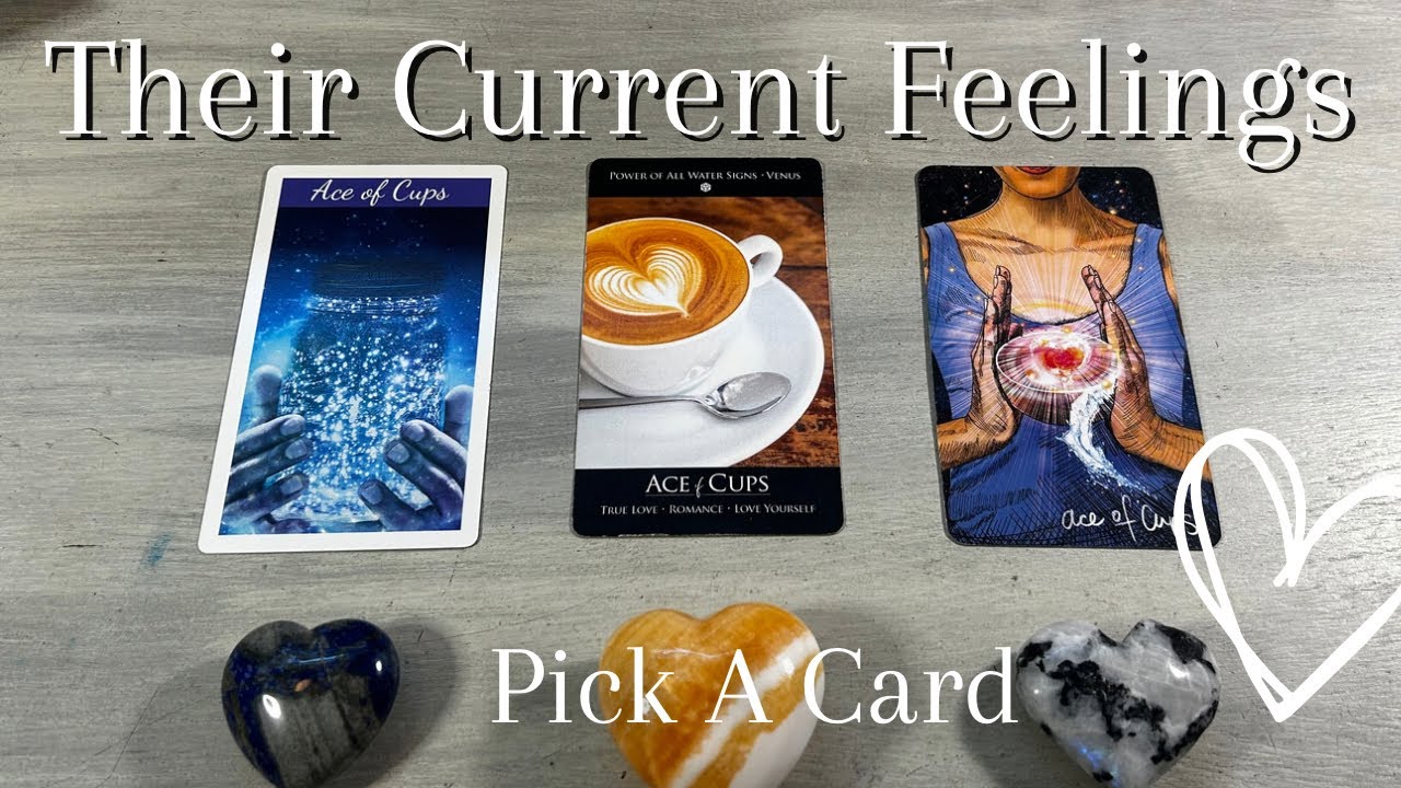 😰🫠💗 Their FEELINGS (about YOU?!?)  Pick A Card + CHANNELED MESSAGES  *Timeless* Love Tarot Reading
