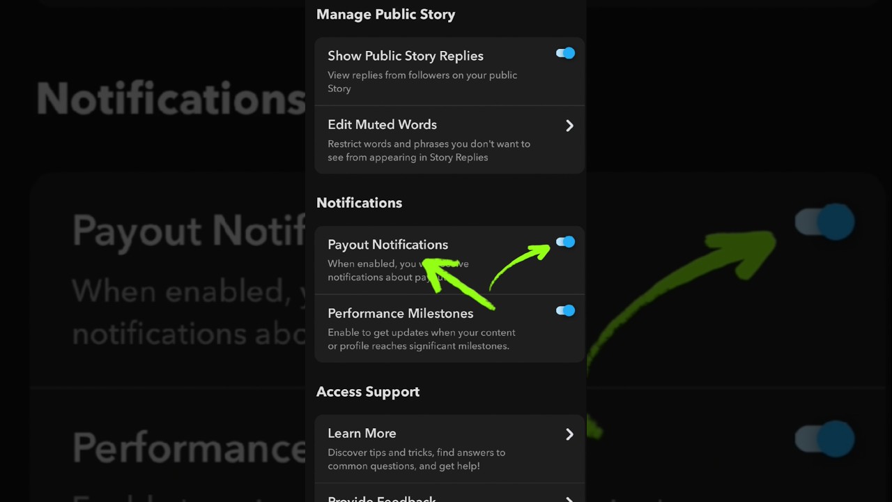 Snapchat monitizetion on kare | how to on snapchat monitizetion #snapchat