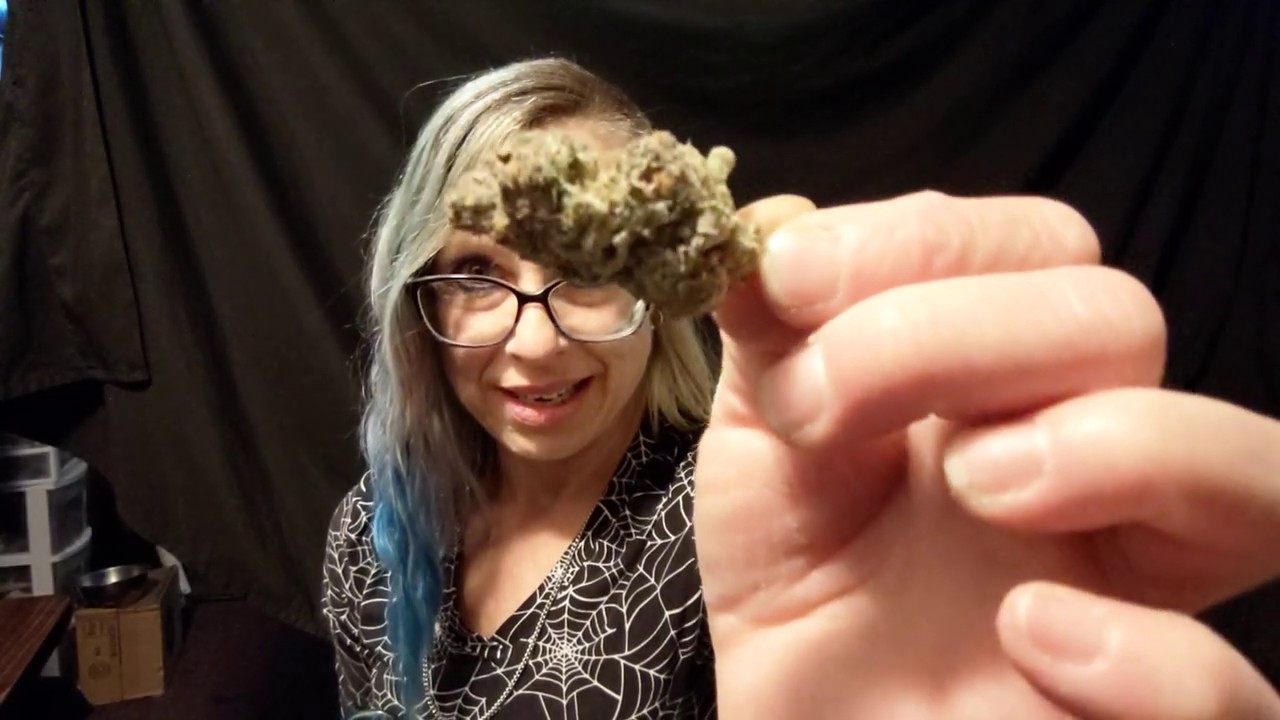 Ice cream cake strain review! The Kings Garden people grow some AMAZING indoor!