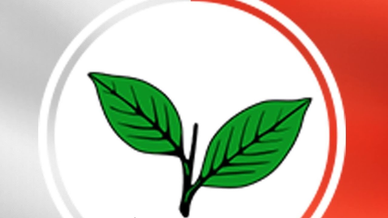 🌱രണ്ടില   ഇനി  എത്ര   നാൾ  പിളരാതെ  🫵🌱# കേരള നിയമസഭ # തെരഞ്ഞെടുപ്പ് # പാലാ # റോഷി അഗസ്റ്റിൻ #