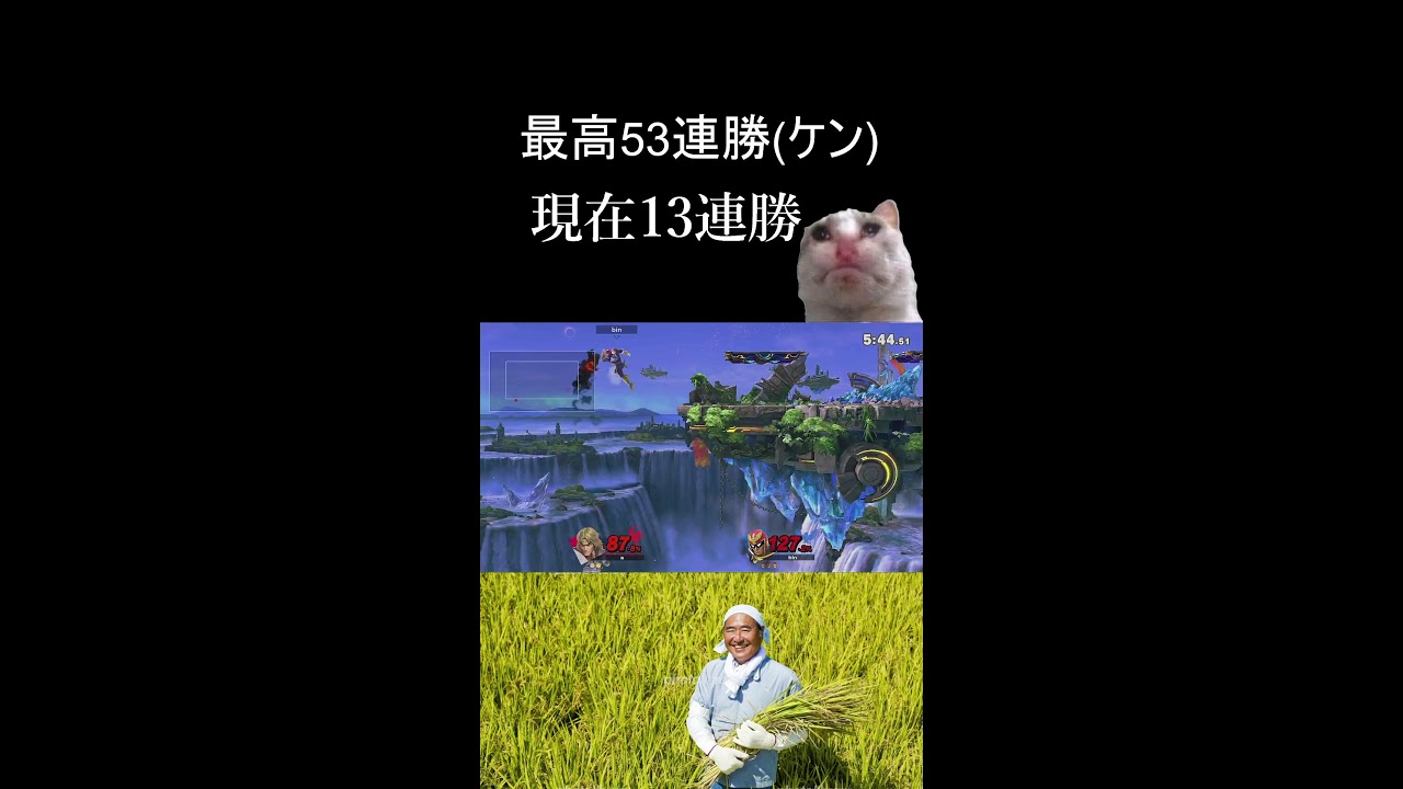ミスって配信切ってしまいました