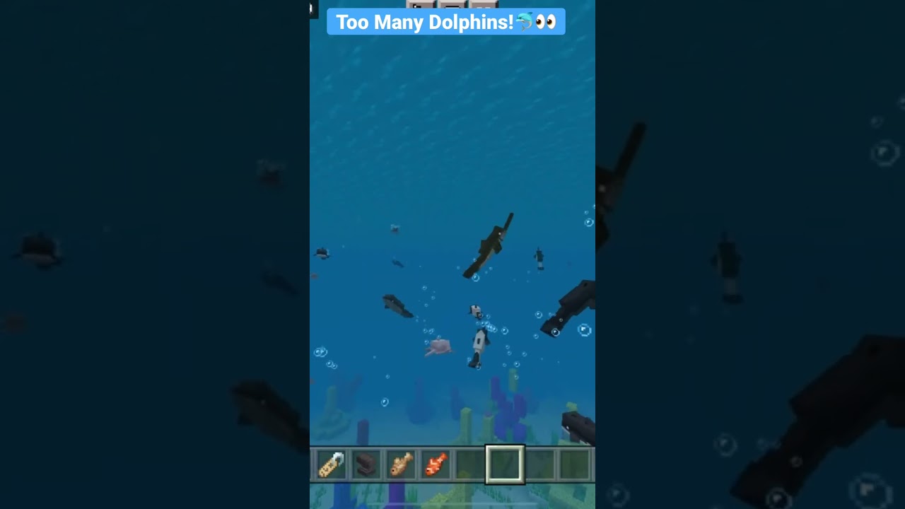 Enhanced Too Many Dolphins mod for Minecraft Bedrock! Multiple dolphin species!🐬