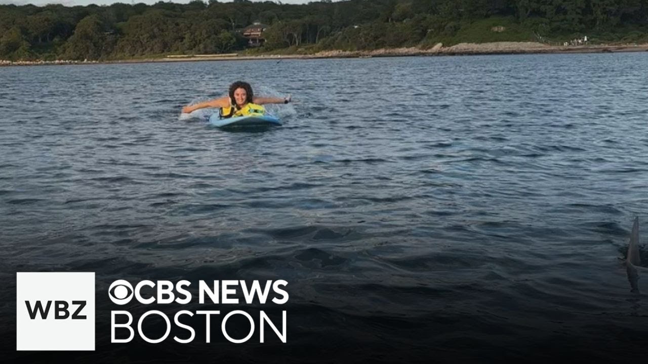 Great white shark spotted next to paddleboarders off Cape Cod beach