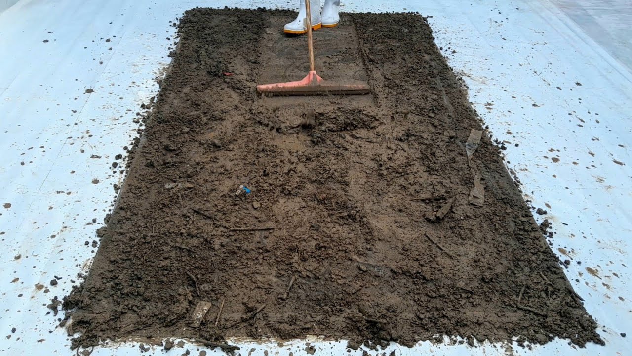 Unbelievable! The best way to wash a mud carpet at home - Satisfying carpet cleaning