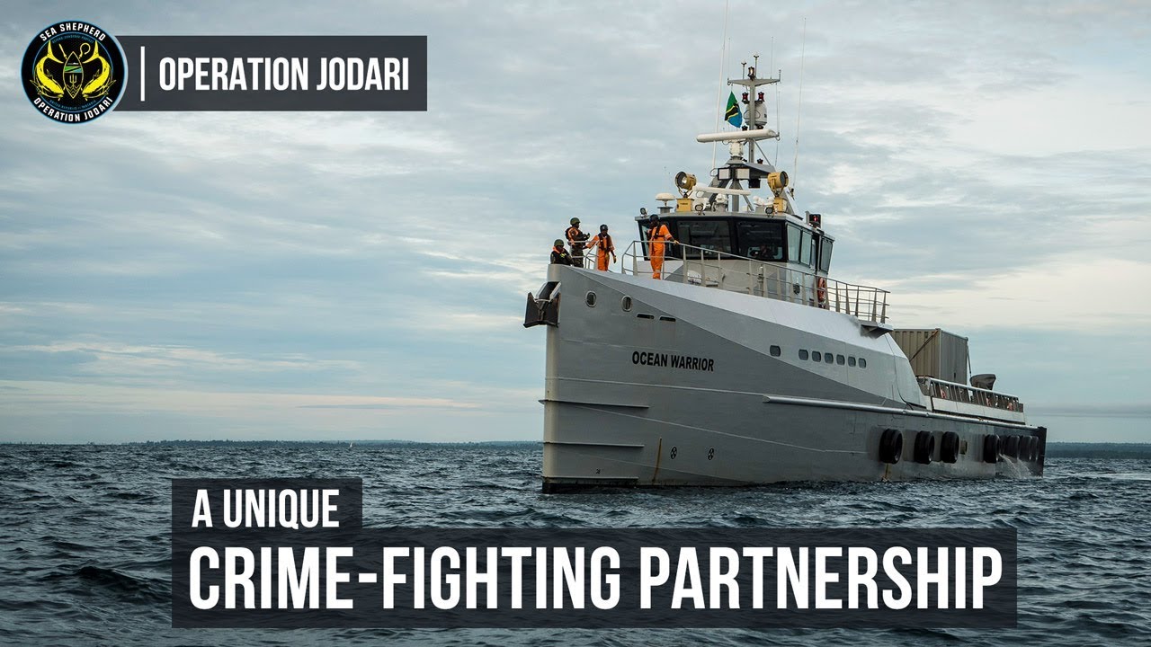 Operation Jodari: A Unique Crime-Fighting Partnership