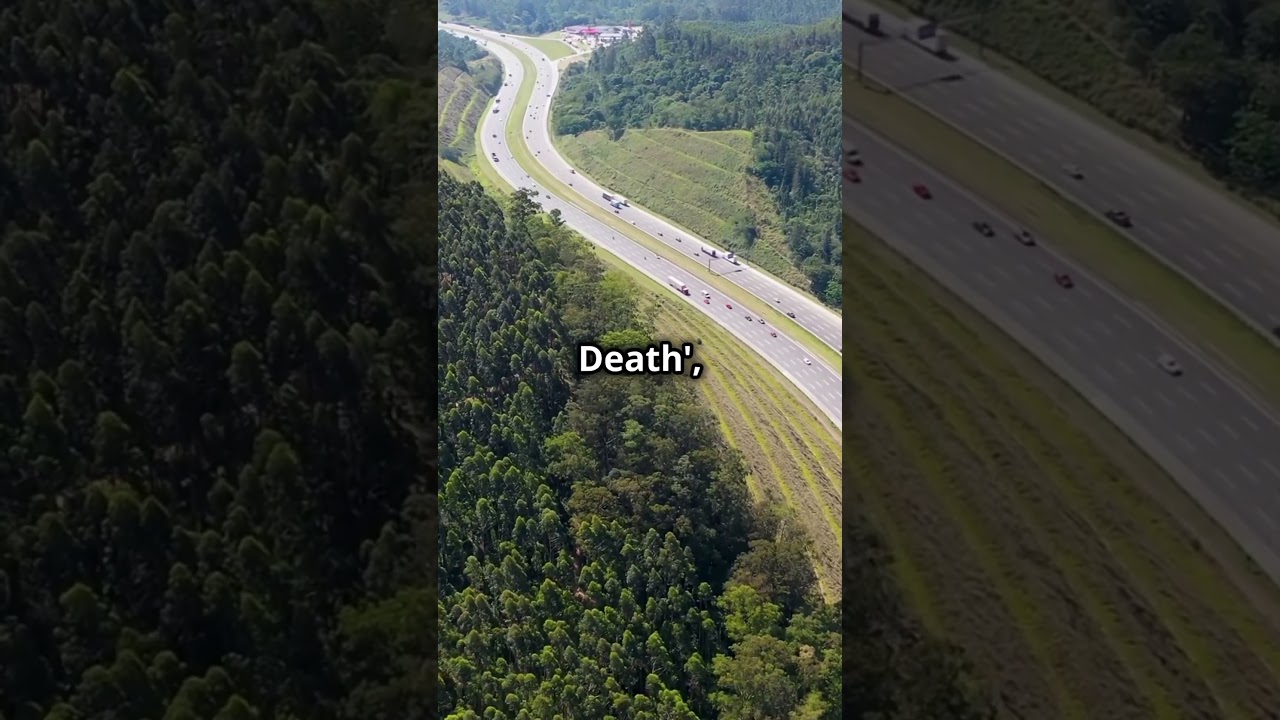 Discover the top 10 most dangerous roads in the world. #dangerousroads #roadsafety #drivesafe