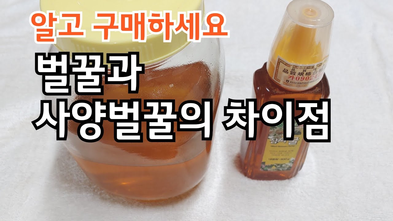 사양벌꿀을 벌꿀로 알았다면 차이점을 알고 구매하세요