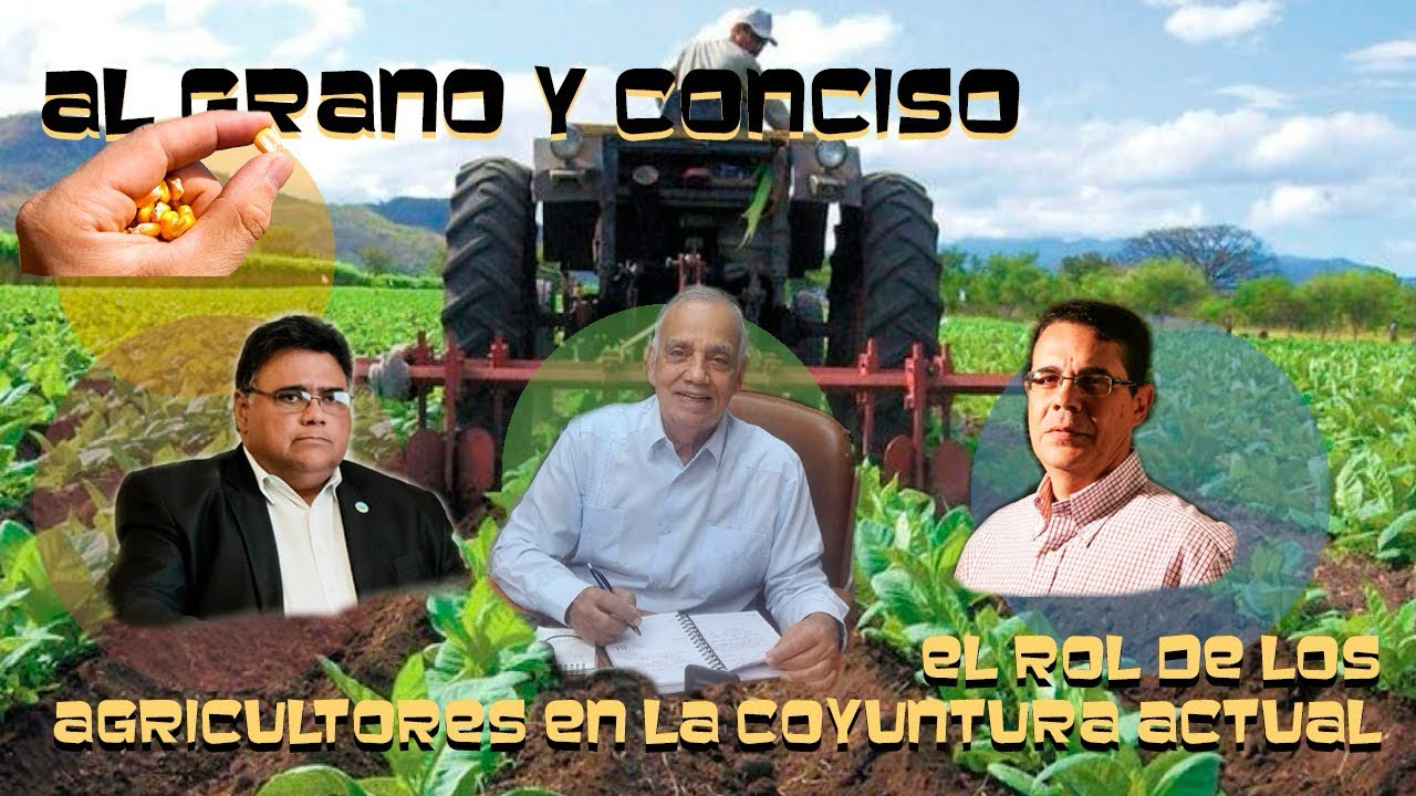 Al Grano y Conciso. CAP #17 El rol de los Agricultores en la coyuntura actual 