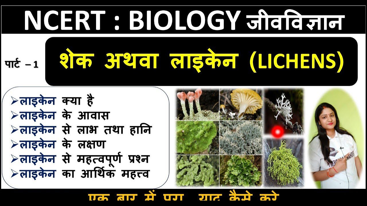 Lichens I Part - 1 I लाइकेन I Lichens क्या है  I What is Lichens | Fungus+ Algae | Lichens का महत्व