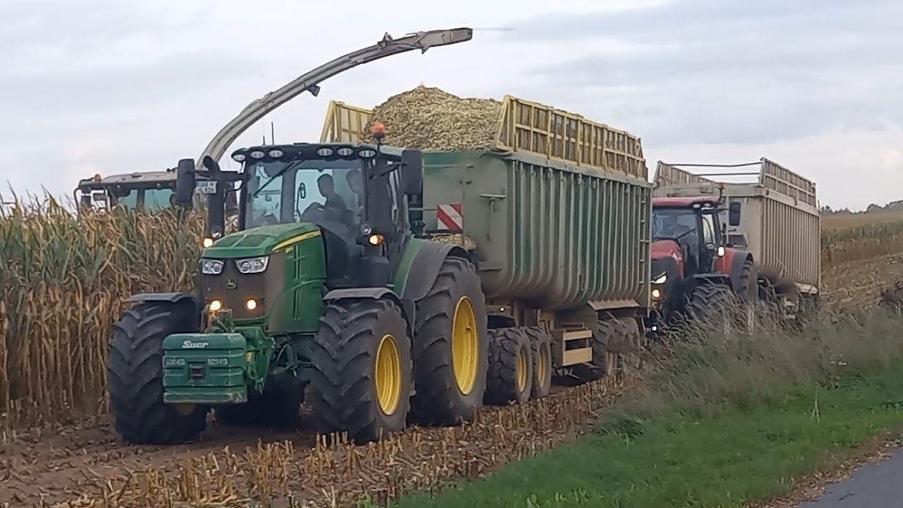 Gut Hohen Luckow.Maisernte Jaguar 960.Fendt 826,Case Optum 250,John deere 6250R