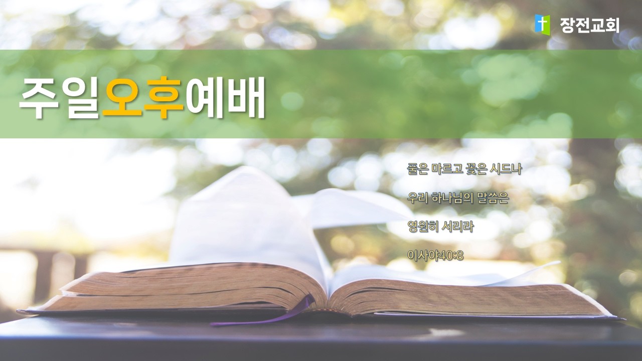 [실시간] 2026년 3월 15일 장전교회 주일오후예배 (남전도회헌신예배)